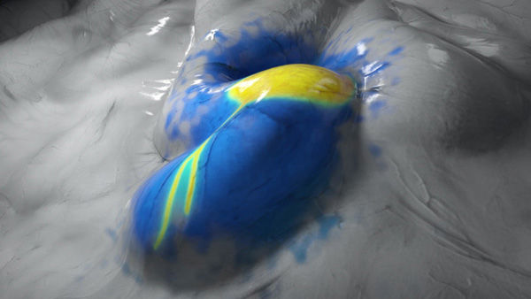 3D-fluorescentiebeeldvorming in realtime