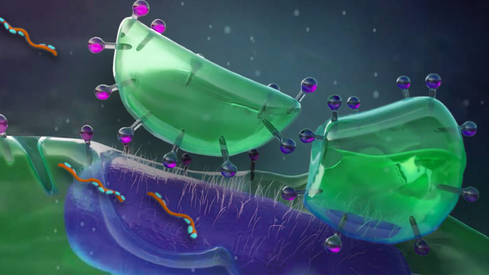 Kleurrijke wetenschappelijke illustratie van biofilmcellen​