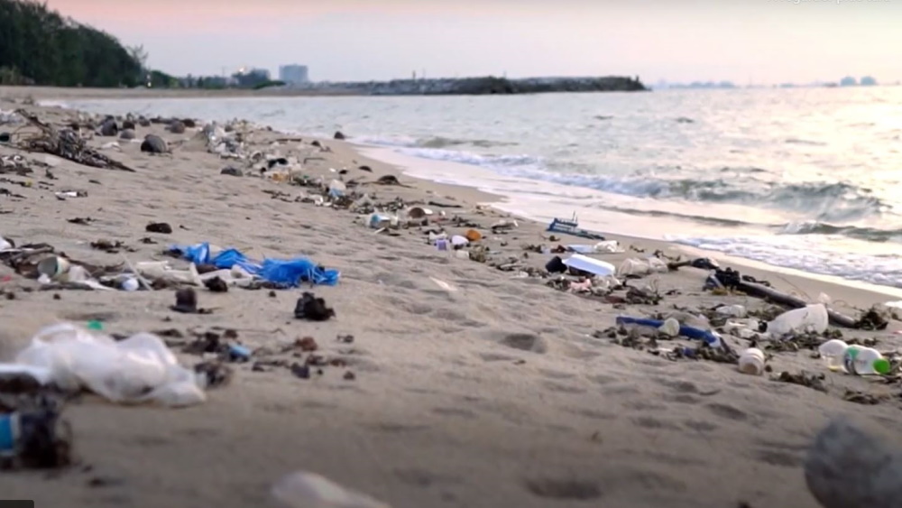 beach full of plastic waste