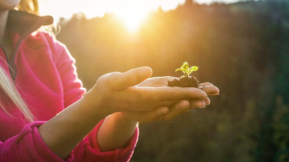 vrouw die plantje vasthoud in beide handen